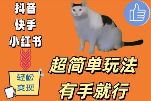 超简单玩法,有手就行,靠猫咪视频日入500+【揭秘】-赚钱驿站