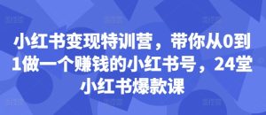 小红书变现特训营,带你从0到1做一个赚钱的小红书号,24堂小红书爆款课-赚钱驿站