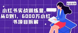小红书实战训练营，从0到1，6000万小红书项目拆解-赚钱驿站