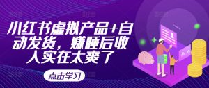 小红书虚拟产品+自动发货,赚睡后收入实在太爽了-赚钱驿站