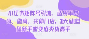 小红书矩阵号引流,适用于电商、微商、实体门店,30天从0基础新手蜕变成卖货高手-赚钱驿站