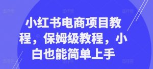 小红书电商项目教程,保姆级教程,小白也能简单上手-赚钱驿站