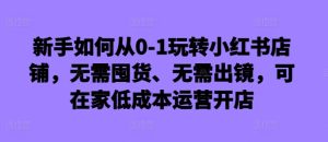 新手如何从0-1玩转小红书店铺,无需囤货、无需出镜,可在家低成本运营开店-赚钱驿站