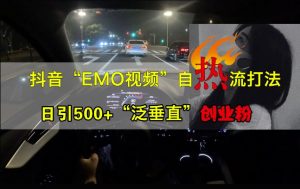 抖音EMO视频自热打法,日引500+“泛垂直”创业粉-赚钱驿站
