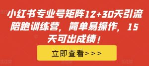 小红书专业号矩阵12+30天引流陪跑训练营,简单易操作,15天可出成绩!-赚钱驿站