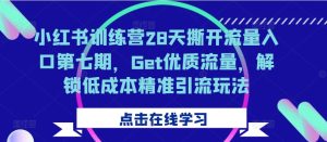 小红书训练营28天撕开流量入口第七期,Get优质流量,解锁低成本精准引流玩法-赚钱驿站