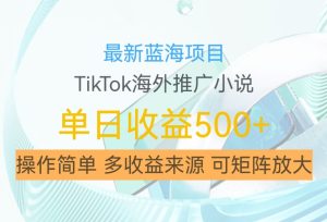 最新蓝海项目,利用tiktok海外推广小说赚钱佣金,简单易学,日入500+,可矩阵放大【揭秘】-赚钱驿站