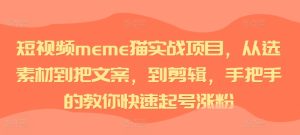 短视频meme猫实战项目,从选素材到把文案,到剪辑,手把手的教你快速起号涨粉-赚钱驿站