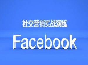 Facebook社交营销实战演练,外贸人绝对不能错过的营销推广平台-赚钱驿站