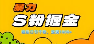 单人单机日引千粉,变现1k+,S粉流量掘金计划攻略【揭秘】-赚钱驿站