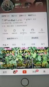 最新抖音暴力起万粉技术，一天涨万粉，发三四个作品涨近万粉-赚钱驿站