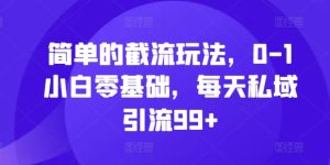 简单的截流玩法,0-1小白零基础,每天私域引流99+【揭秘】-赚钱驿站
