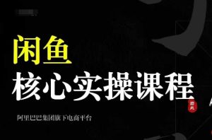 2024闲鱼核心实操课程,从养号、选品、发布、销售,教你做一个出单的闲鱼号-赚钱驿站