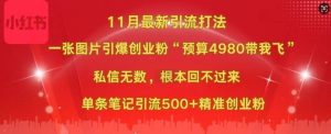 小红书11月最新图片打粉,一张图片引爆创业粉,“预算4980带我飞”,单条引流500+精准创业粉-赚钱驿站