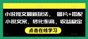 小说推文最新玩法, 图片+搭配小说文案,转化率高,收益稳定-赚钱驿站