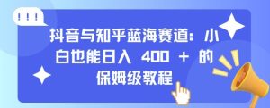 抖音与知乎蓝海赛道:小白也能日入 4张 的保姆级教程-赚钱驿站