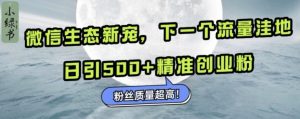 微信生态新宠小绿书:下一个流量洼地,日引500+精准创业粉,粉丝质量超高-赚钱驿站