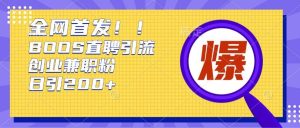 通过Boss直聘,每天轻松钓到200+多条创业大鱼的秘籍【揭秘】-赚钱驿站