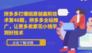 拼多多打爆班原创高阶技术第40期,拼多多全站推广,让更多卖家花小钱学到好技术-赚钱驿站