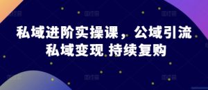 私域进阶实操课,公域引流 私域变现 持续复购-赚钱驿站