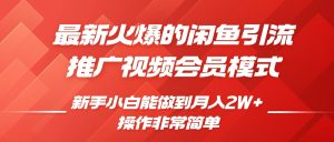 闲鱼引流推广影视会员,0成本就可以操作,新手小白月入过W+【揭秘】-赚钱驿站