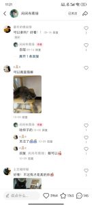 小红书私人定制图项目,附赠一单4W渠道【揭秘】-赚钱驿站