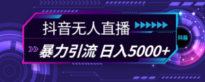 抖音快手视频号全平台通用无人直播引流法，利用图片模板和语音话术，暴力日引流100+创业粉【揭秘】-赚钱驿站