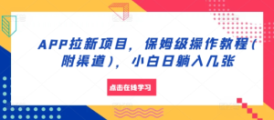 APP拉新项目,保姆级操作教程(附渠道),小白日躺入几张【揭秘】-赚钱驿站