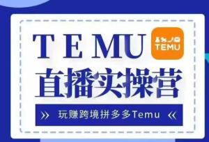 Temu直播实战营,玩赚跨境拼多多Temu,国内电商卷就出海赚美金-赚钱驿站