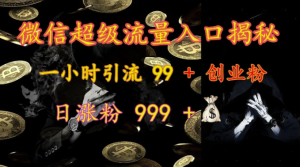 微信超级流量入口揭秘:一小时引流 99 + 创业粉,日涨粉 999 +-赚钱驿站