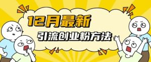 12月最新引流创业粉方法,方法非常简单,适用于多平台-赚钱驿站