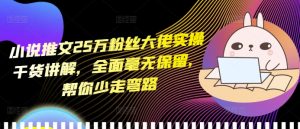 小说推文25万粉丝大佬实操干货讲解,全面毫无保留,帮你少走弯路-赚钱驿站