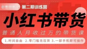 小Red书带货42天训练营 2.0版,宝妈+自由职+上班族+大学生,提高副业收入的大红利项目-赚钱驿站