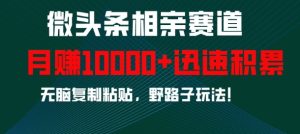 微头条相亲赛道，迅速积累，无脑复制粘贴，野路子玩法，月入1w-赚钱驿站