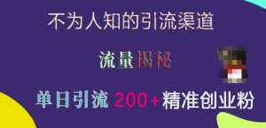 不为人知的引流渠道,流量揭秘,实测单日引流200+精准创业粉【揭秘】-赚钱驿站