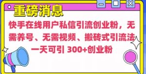 快手最新引流创业粉方法,无需养号、无需视频、搬砖式引流法【揭秘】-赚钱驿站