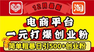 12月最新:电商平台1元打爆创业粉,简单粗暴日引500+精准创业粉,轻松月入过W【揭秘】-赚钱驿站
