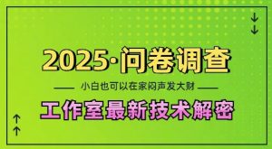 2025问卷调查最新工作室技术解密:一个人在家也可以闷声发大财,小白一天2张,可矩阵放大【揭秘】-赚钱驿站