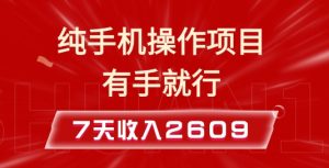 纯手机操作的小项目,有手就能做,7天收入2609+实操教程【揭秘】-赚钱驿站