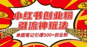 小红书创业粉引流神玩法,单图笔记引爆500+精准创业粉丝,私信狂潮接连不断-赚钱驿站