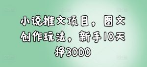 小说推文项目,图文创作玩法,新手10天挣3000-赚钱驿站