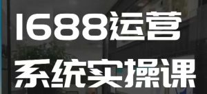 1688高阶运营系统实操课，快速掌握1688店铺运营的核心玩法-赚钱驿站