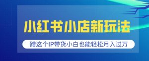 小红书小店新玩法,蹭这个IP带货,小白也能轻松月入过W【揭秘】-赚钱驿站