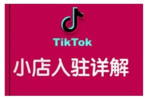 TikTok跨境小店运营全攻略,帮助你独立运营TK跨境小店的能力,实现销量增长-赚钱驿站