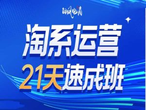 淘系运营21天速成班35期,年前最后一波和2025方向-赚钱驿站