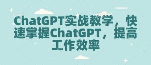 ChatGPT实战教学,快速掌握ChatGPT,提高工作效率-赚钱驿站