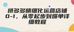 拼多多精细化运营店铺0-1,从零起步到爆单详细教程-赚钱驿站