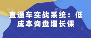 直通车实战系统:低成本询盘增长课,让个人通过技能实现升职加薪,让企业低成本获客,订单源源不断-赚钱驿站