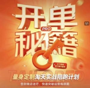 淘宝开单秘籍PRO,量身定制淘天实战陪跑计划,告别做店迷茫、快速突破运营瓶颈期-赚钱驿站