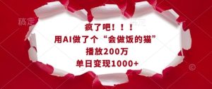 疯了吧!用AI做了个“会做饭的猫”,播放200万,单日变现1k-赚钱驿站